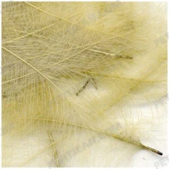 Marc Petitjean CDC 15 Marc Petitjean CDC -Beste Fiskebutikk image ab38016e 2048 40c4 ba55 a2b5f1104fb1