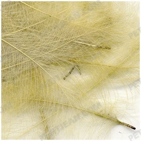 Marc Petitjean CDC 9 Marc Petitjean CDC - Bilde 7