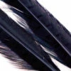 The Fly Co, 1 Pair Ringneck Tail Feathers Black -Beste Fiskebutikk img 0018 7 1