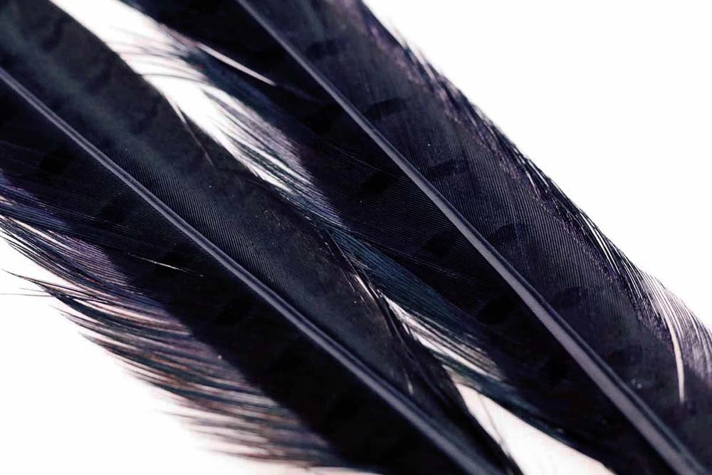 The Fly Co, 1 Pair Ringneck Tail Feathers Black 3 The Fly Co, 1 Pair Ringneck Tail Feathers Black