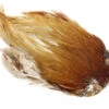 Flyco Dry Fly Rooster Necks 2 Flyco Dry Fly Rooster Necks -Beste Fiskebutikk img 1381