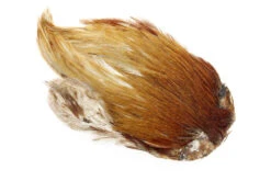 Flyco Dry Fly Rooster Necks