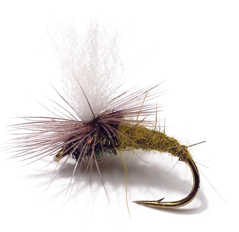 Klinkhammer Olive 3 Klinkhammer Olive