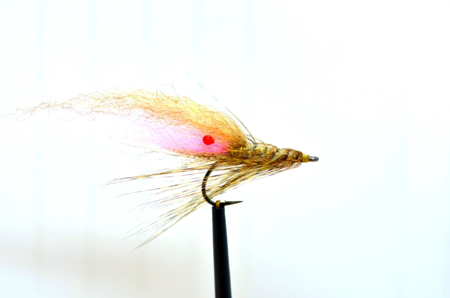 Laser Shrimp 3 Laser Shrimp