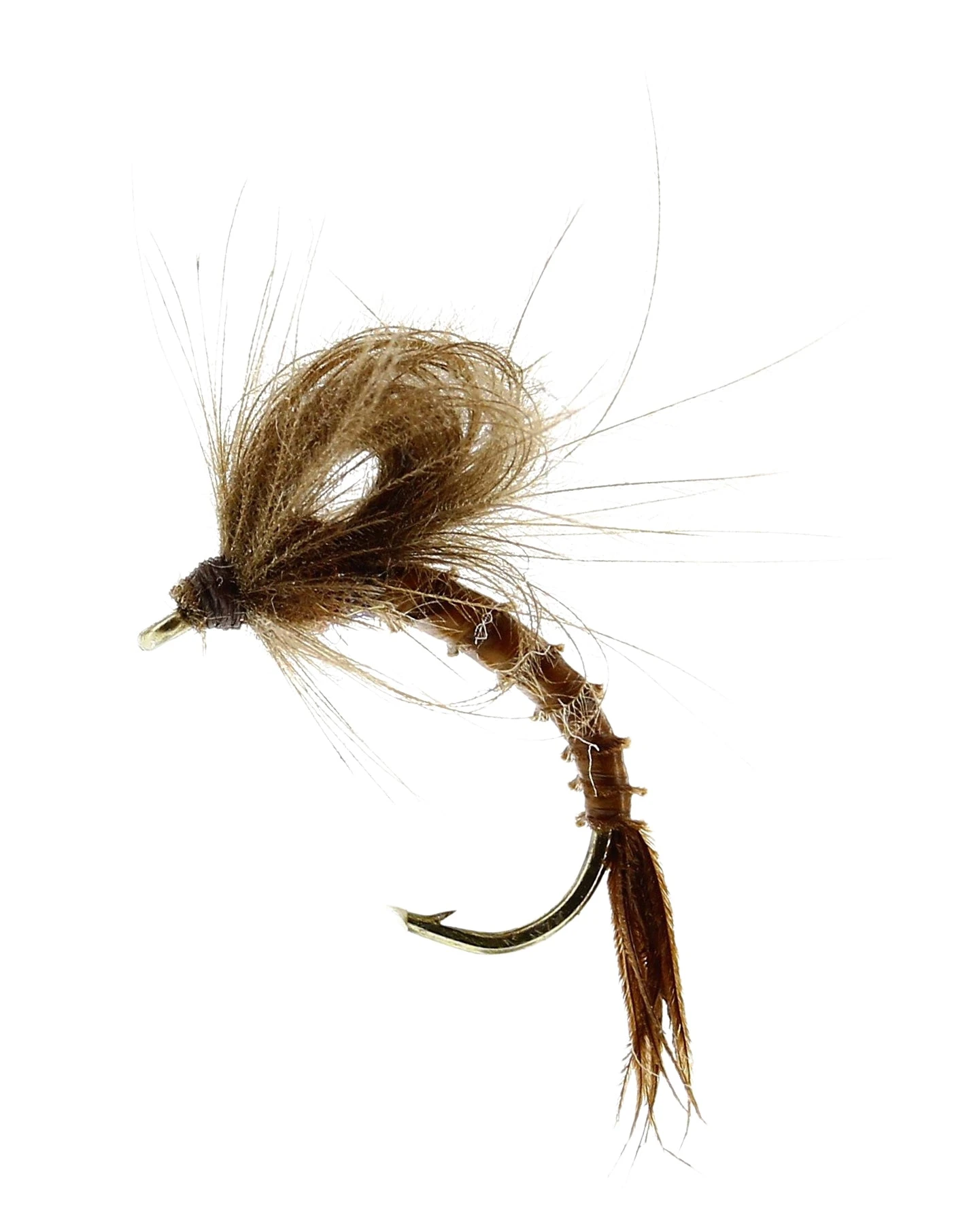 Marginata Emerger 3 Marginata Emerger