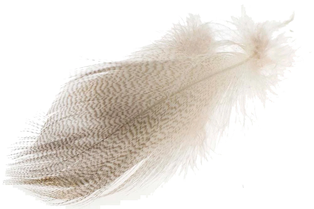 Flydressing Mallard Barred Flank 3 Flydressing Mallard Barred Flank