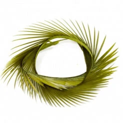 Semperfli Goose Biots 40 Semperfli Goose Biots -Beste Fiskebutikk olive e6e8d85e c70a 4986 9a59 ac617f502f43