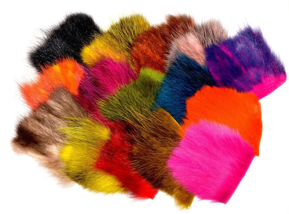 FutureFly American Opossum 3 FutureFly American Opossum