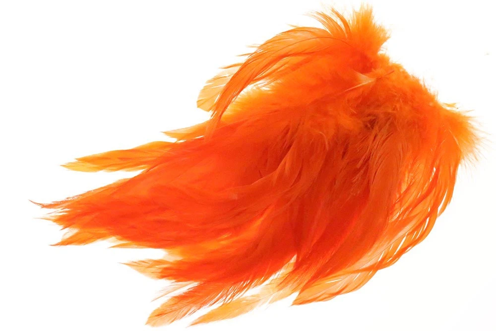 Schlappen 3 Schlappen