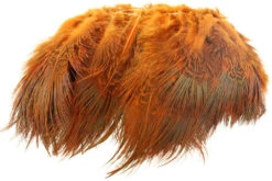 Flyco Ringneck Rump Hackle -Beste Fiskebutikk orange 99b02273 5818 4a6b b119 22c91b83df58