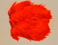 Flyco Keough Softhackle Patch 29 Flyco Keough Softhackle Patch -Beste Fiskebutikk orange ca5dea75 11bf 4b6f b308 567df3357295