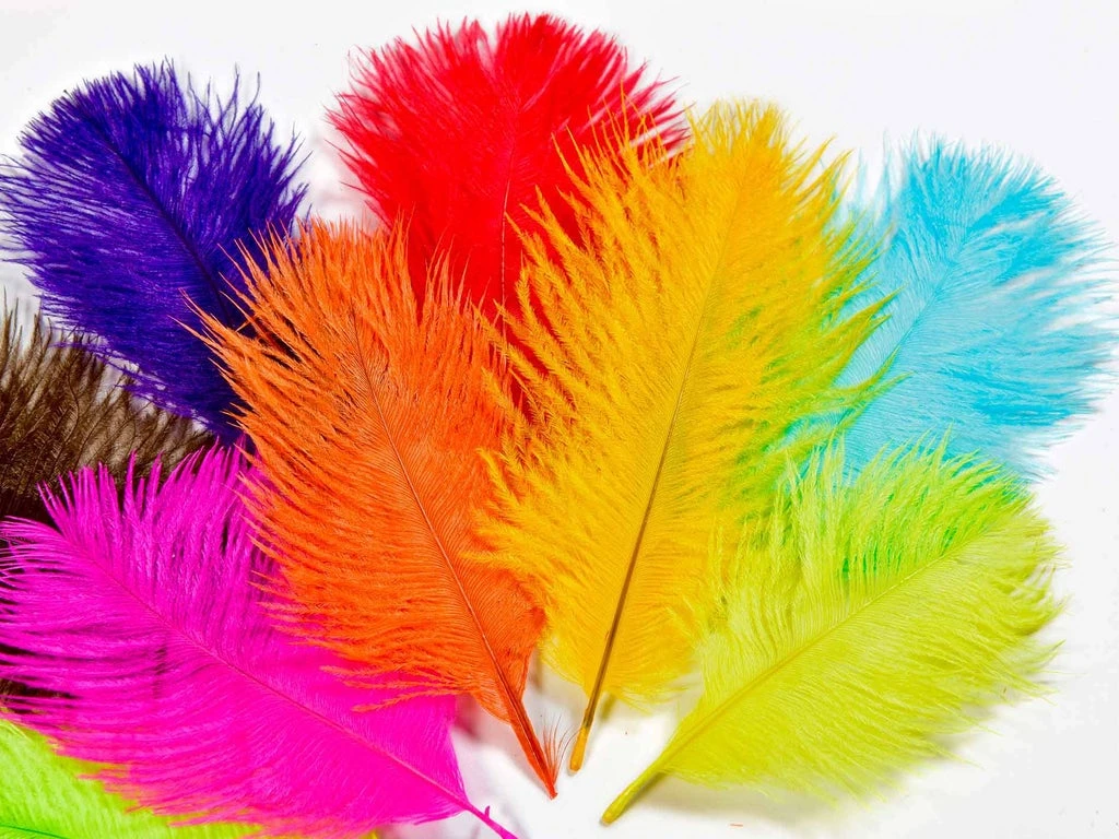 Ostrich Feather Pack 4 Ostrich Feather Pack - Bilde 2