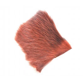 FutureFly American Opossum 4 FutureFly American Opossum - Bilde 2