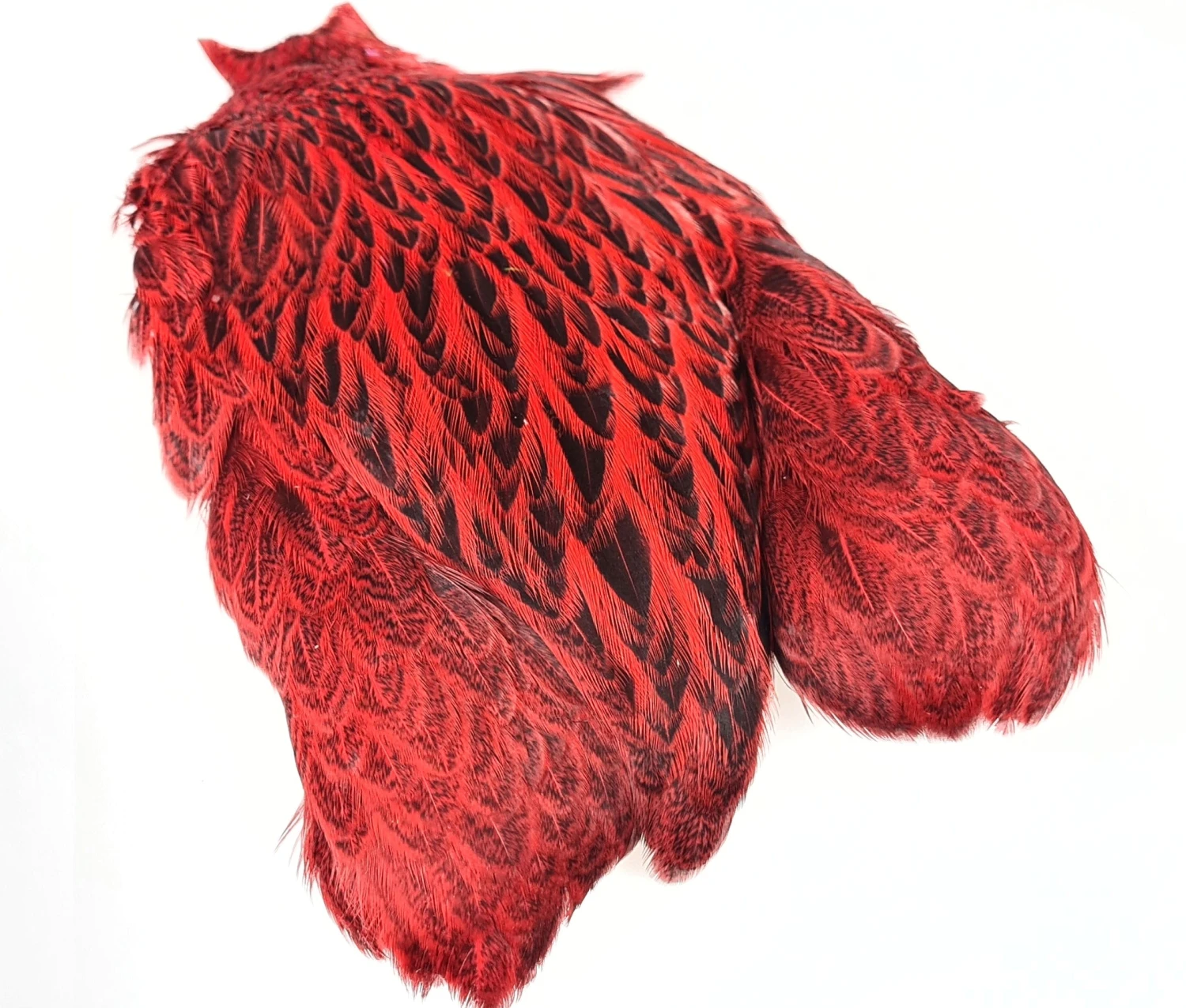 FutureFly Freshwater Capes 5 FutureFly Freshwater Capes - Bilde 3