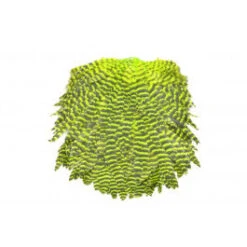 FutureFly Signature Hen Saddle 18 FutureFly Signature Hen Saddle -Beste Fiskebutikk signature chartreuse grizzly 1