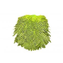 FutureFly Signature Hen Saddle 7 FutureFly Signature Hen Saddle - Bilde 5