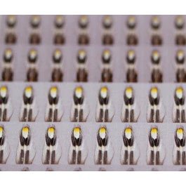 FutureFly Artificial Jungle Cock 5 FutureFly Artificial Jungle Cock - Bilde 3