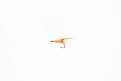 STF Orange Shrimp UV