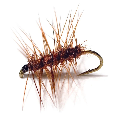 Superpuppan 3 Superpuppan