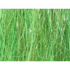 Frödinflies SSS Angel Hair HD 23 Frödinflies SSS Angel Hair HD -Beste Fiskebutikk temp mystore 1593705425 0sssang 07 1024x 99e1d4e0 9cb6 44fb b0e1 295b7a0c5da6