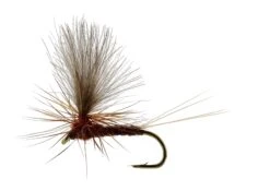 Vespertina Dun Brown